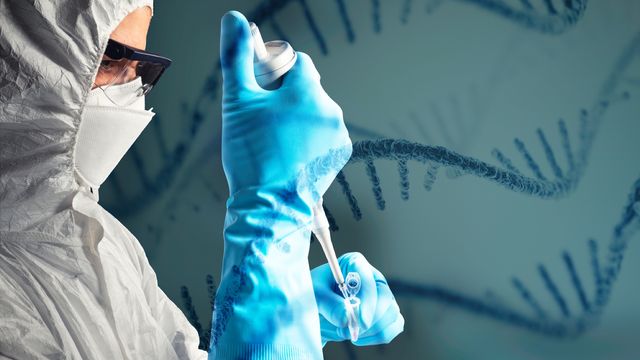 RNA Seq service, RNA Seq, RNA Sequencing, Single Cell RNA Sequencing, RNA Sequencing Companies, mRNA sequencing, RNA Seq analysis, RNA Seq price, Single Cell RNA Seq 