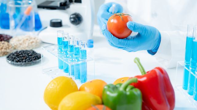 Scientist with blue gloves is holding a tomato with other fruits and vegetables on the table with scientific equipment