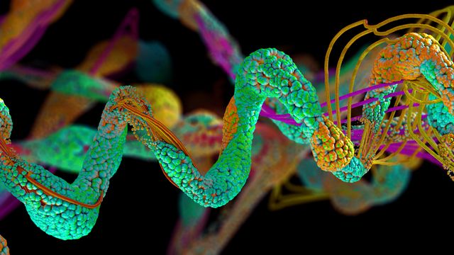 Protein structure.