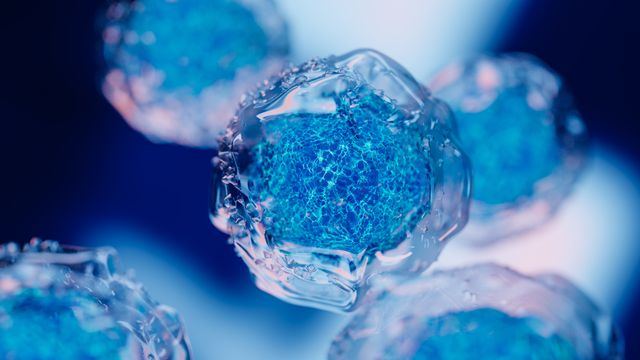 A selection of blue cells