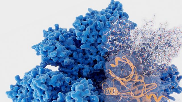 SignalChem Biotech Kinases
