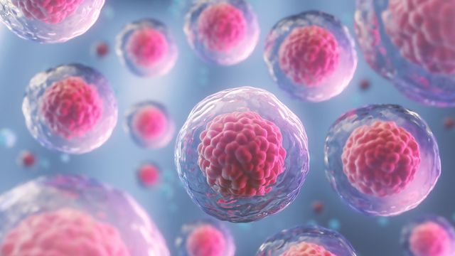 3d rendering of Human cell or Embryonic stem cell microscope background.