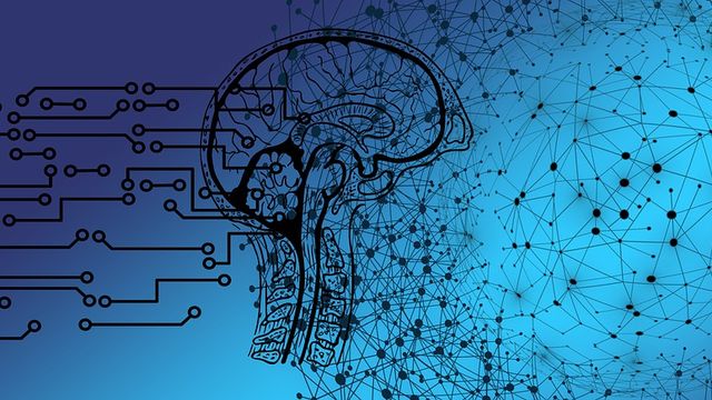 Human brain and AI networks.
