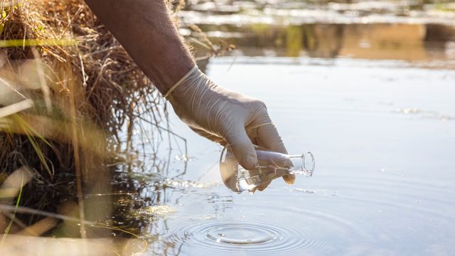 A scientist wearing gloves collects a water sample from a natural source in a beaker for environmental testing or analysis.