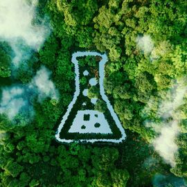 Aerial view of forest with conical flask embedded into it. 