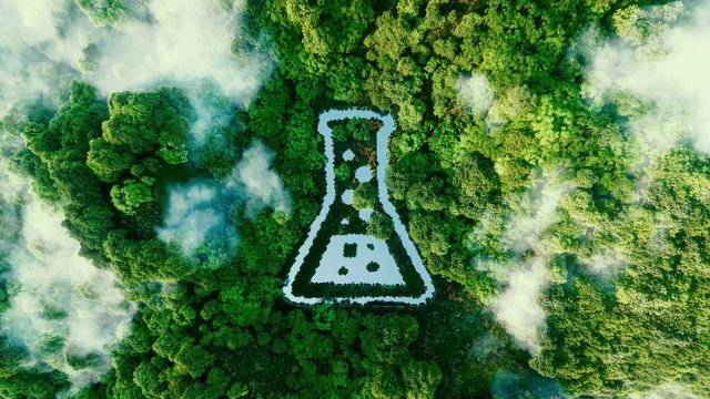 Aerial view of forest with conical flask embedded into it. 