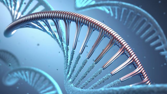 DNA double helix with one of the strands represented as a synthetic strand
