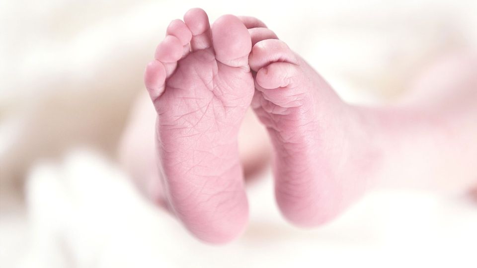 Newborn baby feet