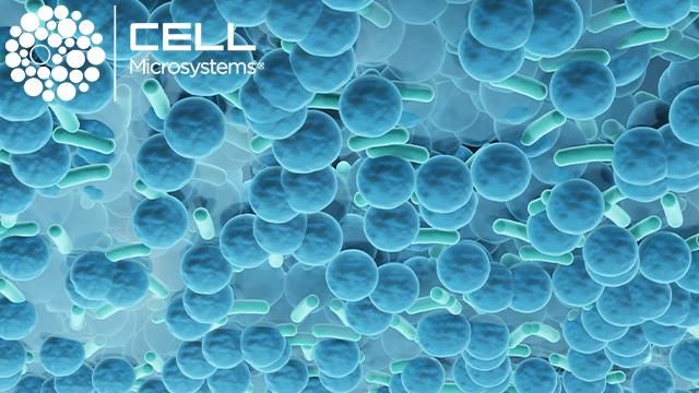Small round blue cells with teal rod-shaped bacteria interspersed. The Cell Microsystems logo is in the top corner. 