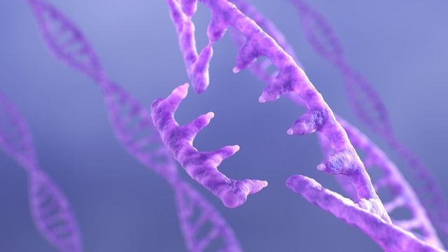 Double helix structure of DNA. 