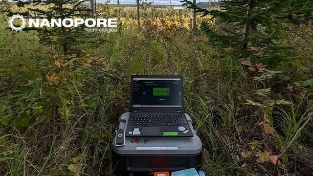 A laptop with a portable sequencer attached rest on a box in a forest. 