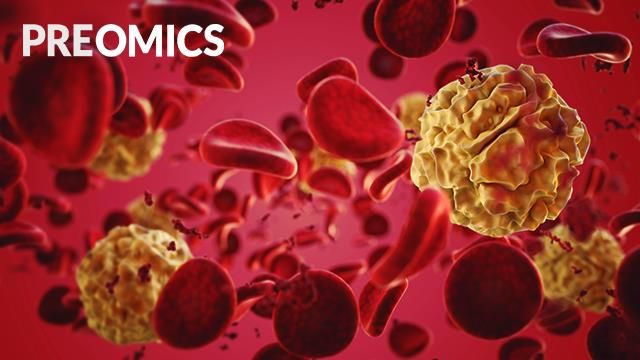 Red and white blood cells in serum, with the Preomics logo at the top of the screen.