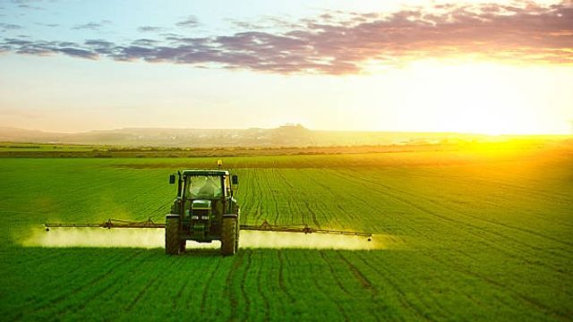 Tractor working in field